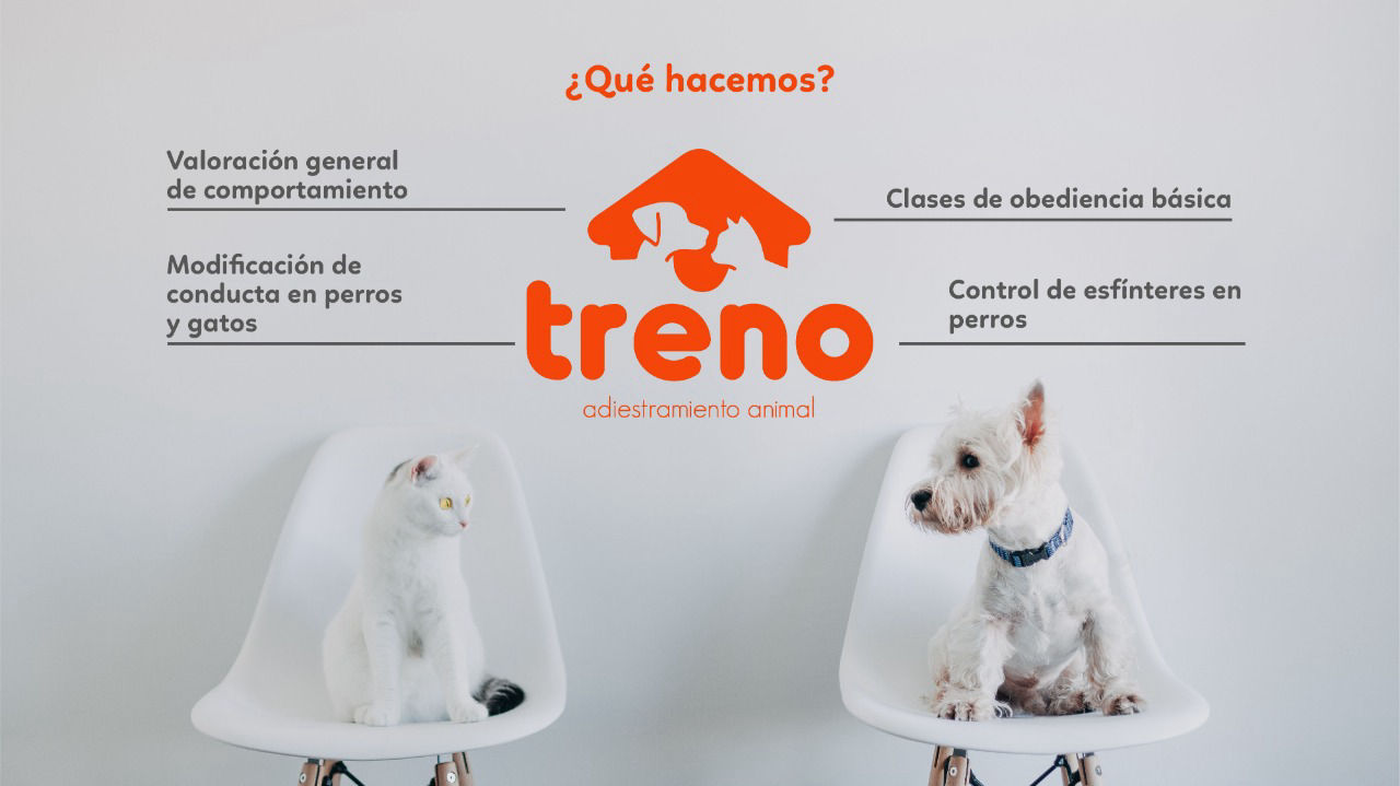 entrenador de perros en Cartagena